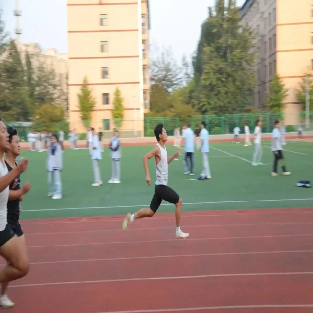 把握新闻资讯核心数据，解读行业趋势新方向